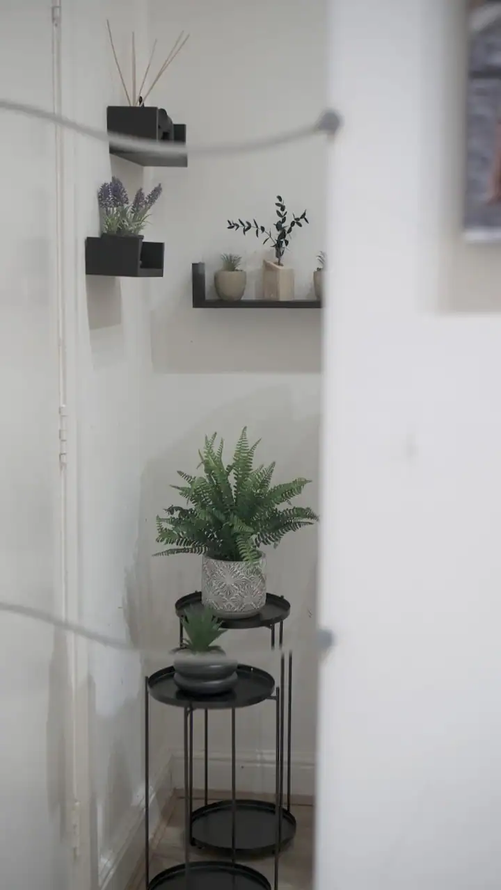 Free website template